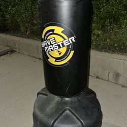 Wave Master Punching Bag 