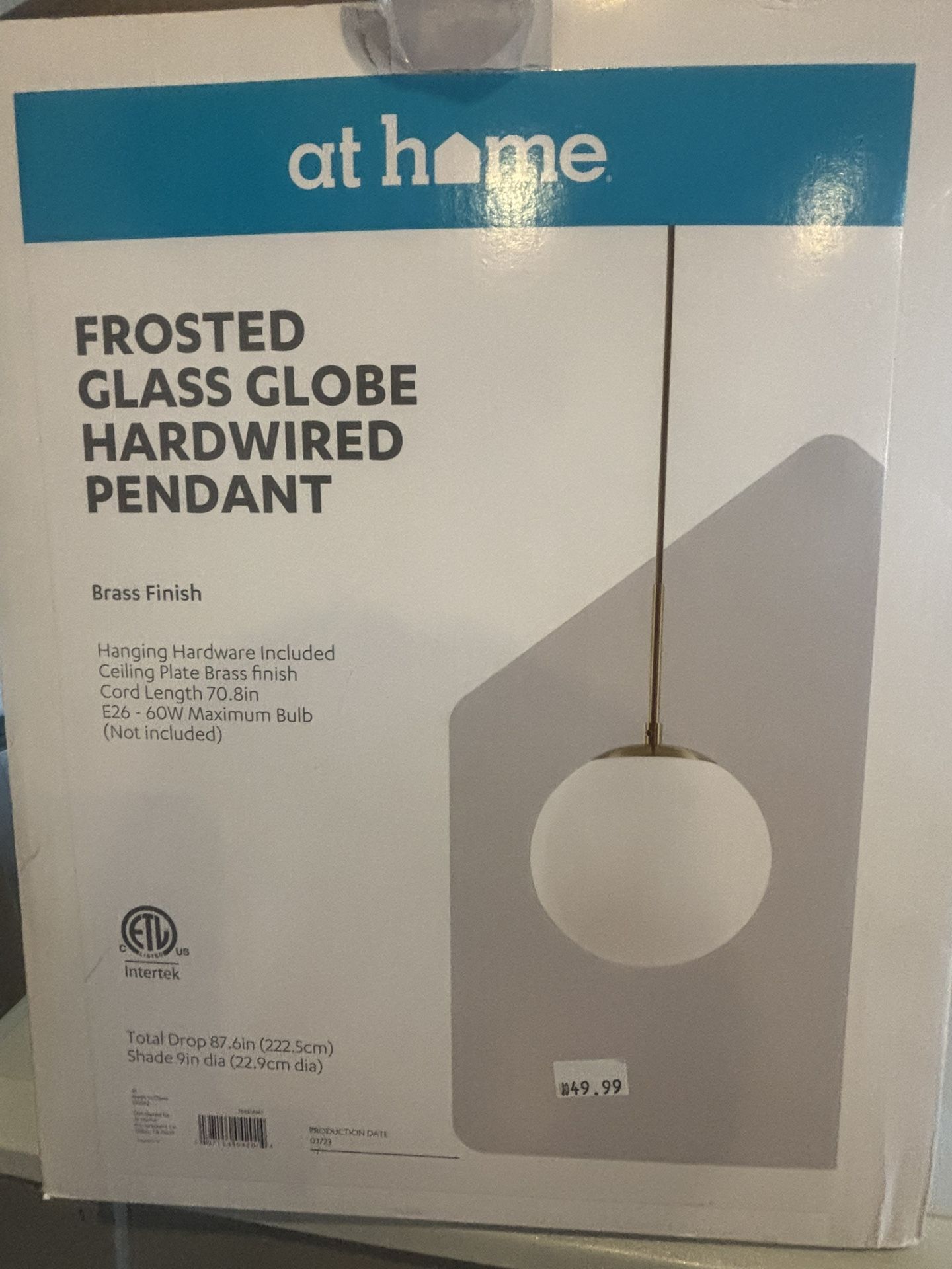 Frosted Glass Hanging Light Fixture 