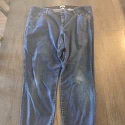 AVA VIV 24W plus size jeans