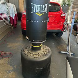 Everlast Bag  Like New 