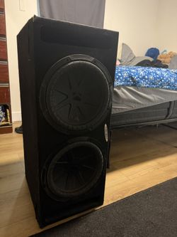 Speaker 