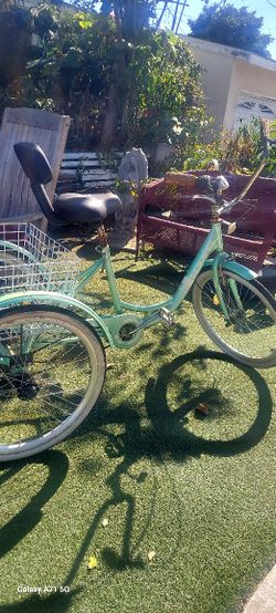 3 Wheeler Bike
