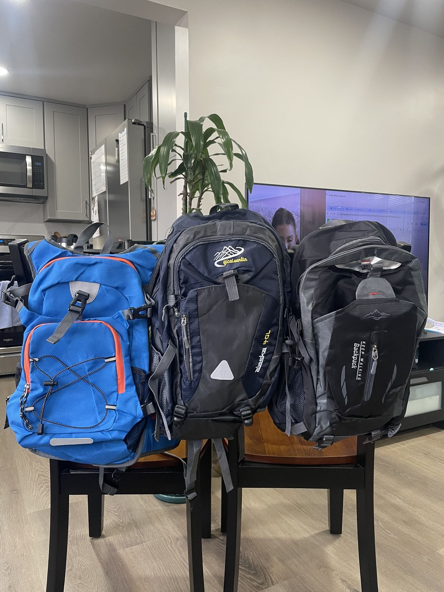 3-Pack Outdoor Backpacks – Lightweight & Durable for Hiking, Day Trips & Travel – $30 for All or $15 Each