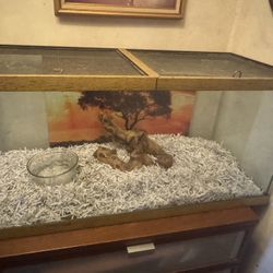 Reptile tank approximately 45 gallons