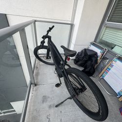 Serial One E Bike Mosh/City