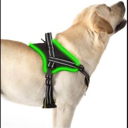 New! Dog Harness No Pull, Reflective comfort vest with Led Light For Night Running, Adjustable Dog Vest Harness, Soft Breathable, Black L