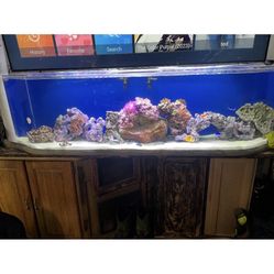 125 Gallon Fish Tank With Two Built-In Wet Dry Filters, Bioballs And Two Pumps , One Reef Light. No Fish No Rock  $350 Cash