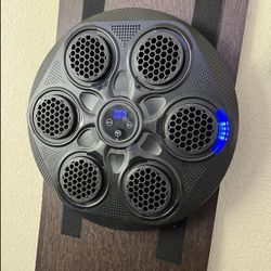 Boxing Machine with Music
