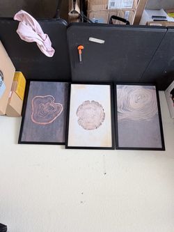 Set of 3 Canvas Tree Prints