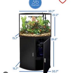 Fish Tank