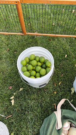 Lemons