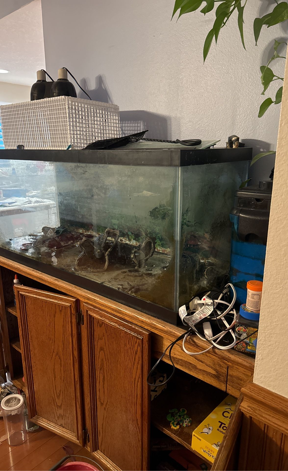 Aquarium, With lamps, Filter, Cage