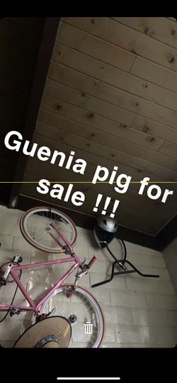 Text If Interested Need Gone Asap