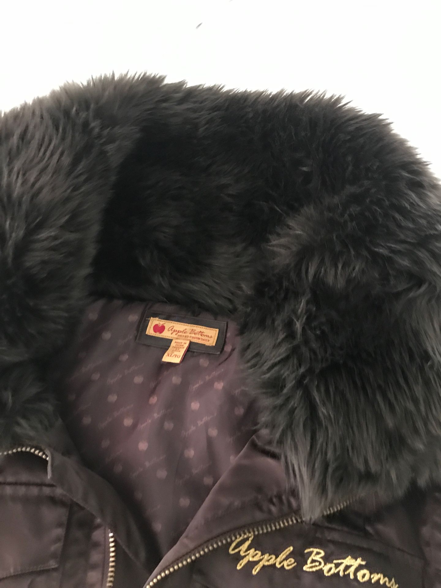 Louis Vuitton Gucci Supreme Designer Dog Jackets for Sale in Yorba Linda,  CA - OfferUp