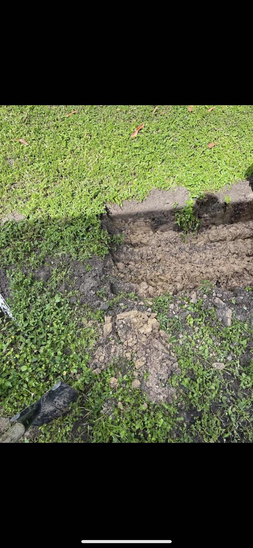 Septic System