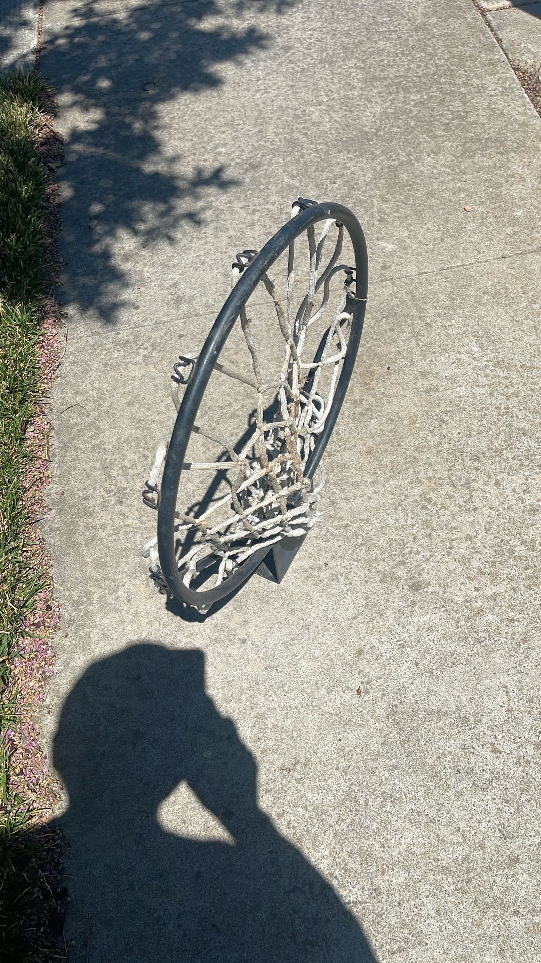 Basketball Rim