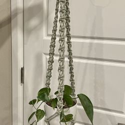 Macrame Plant Hanger