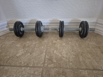 Bollinger Barbell Weights