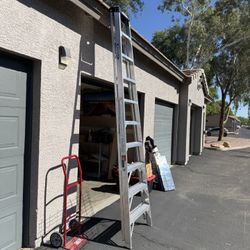 Werner 10 Ft Ladder 
