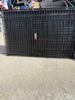Coral para perros