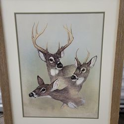 Framed and Signed Art