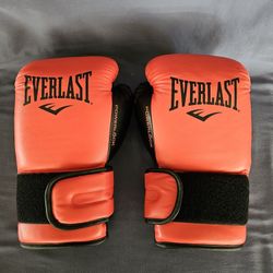 Everlast PowerLock2 Training Glove 16Oz Red/Black
