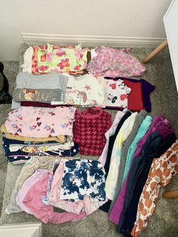 Girls 3T Clothes (55 pieces)