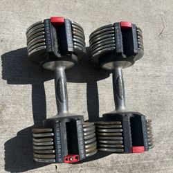 WEIDER ADJUSTABLE DUMBBELLS PAIR(NO STORAGE TRAY)