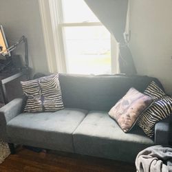 Grey Loveseat Couch