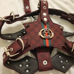 Gucci Dog Harness and Leash