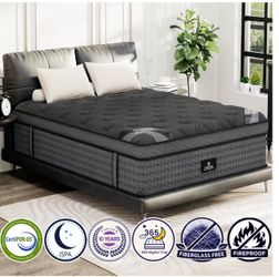 NEW BED SET - MUST GO!