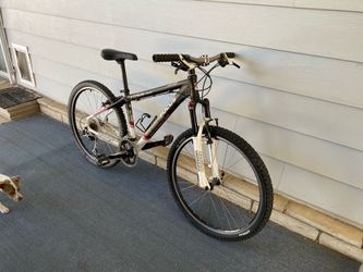 FOCUS Hardtail