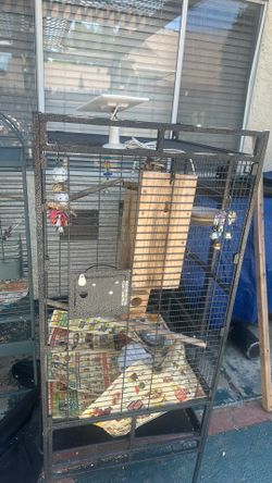 Bird cage