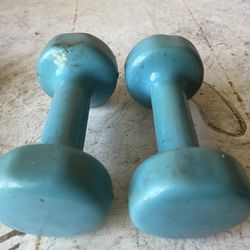 5 Lb Dumbbells