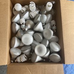 Bulbs All For $8