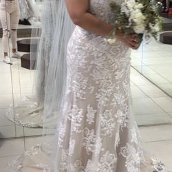 Used wedding dress with cathedral vail 