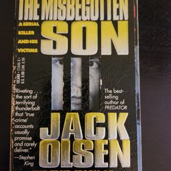 The Misbegotten Son