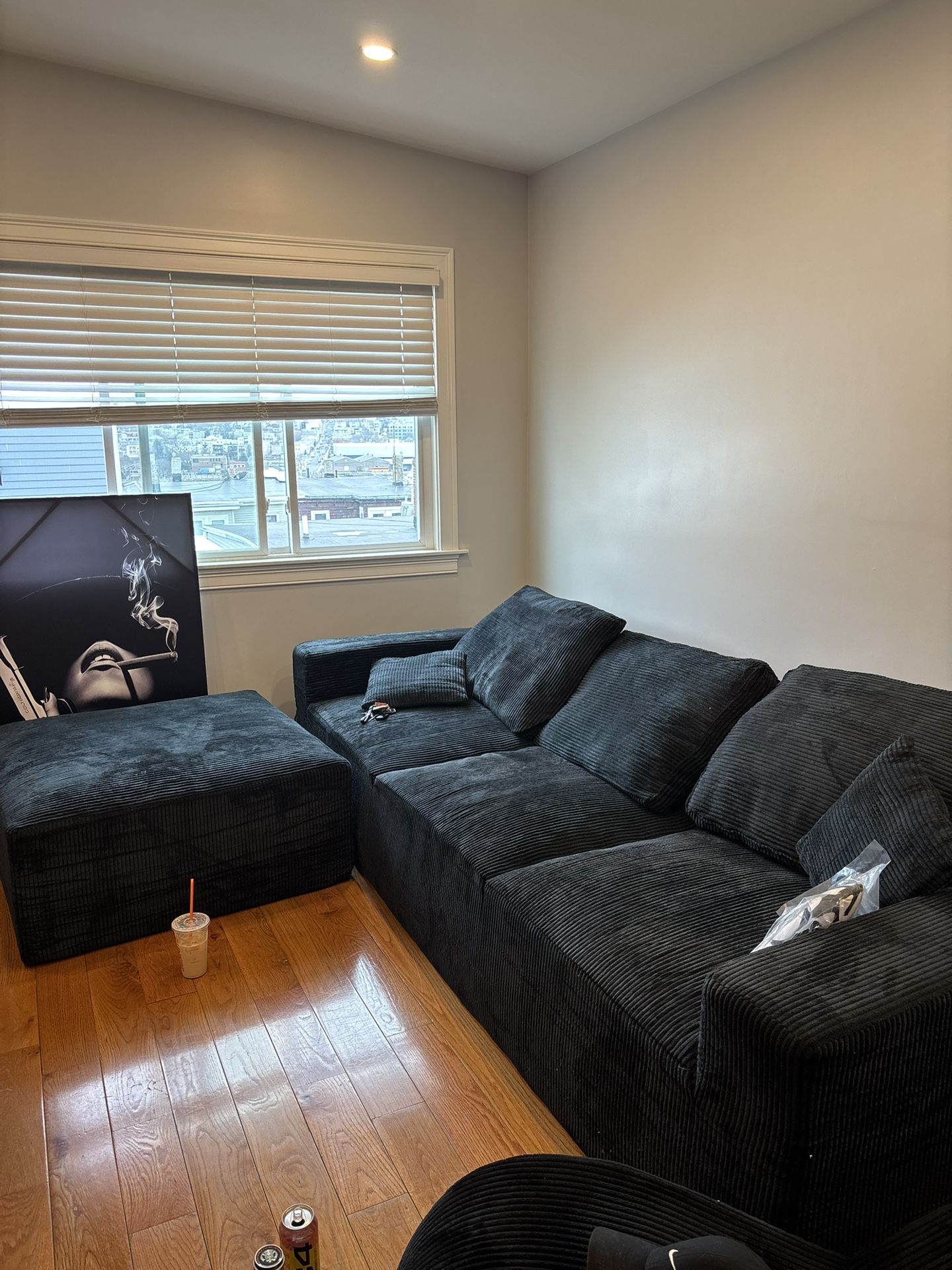 Brand New Couch (still Wrapped And In Box)