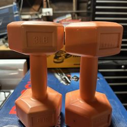 3lb Dumbbells 💪🏽 