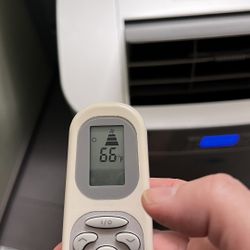 Portable AC/Heat dual hose unit