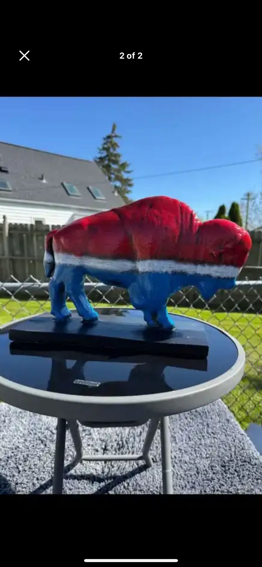 The Patriotic Buffalo