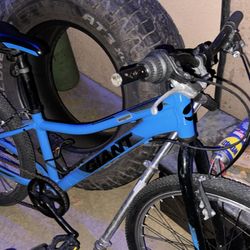 Giant  XTC Jr Bike 