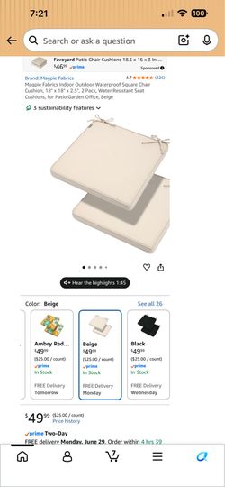 Pair of Outdoor chair cushions