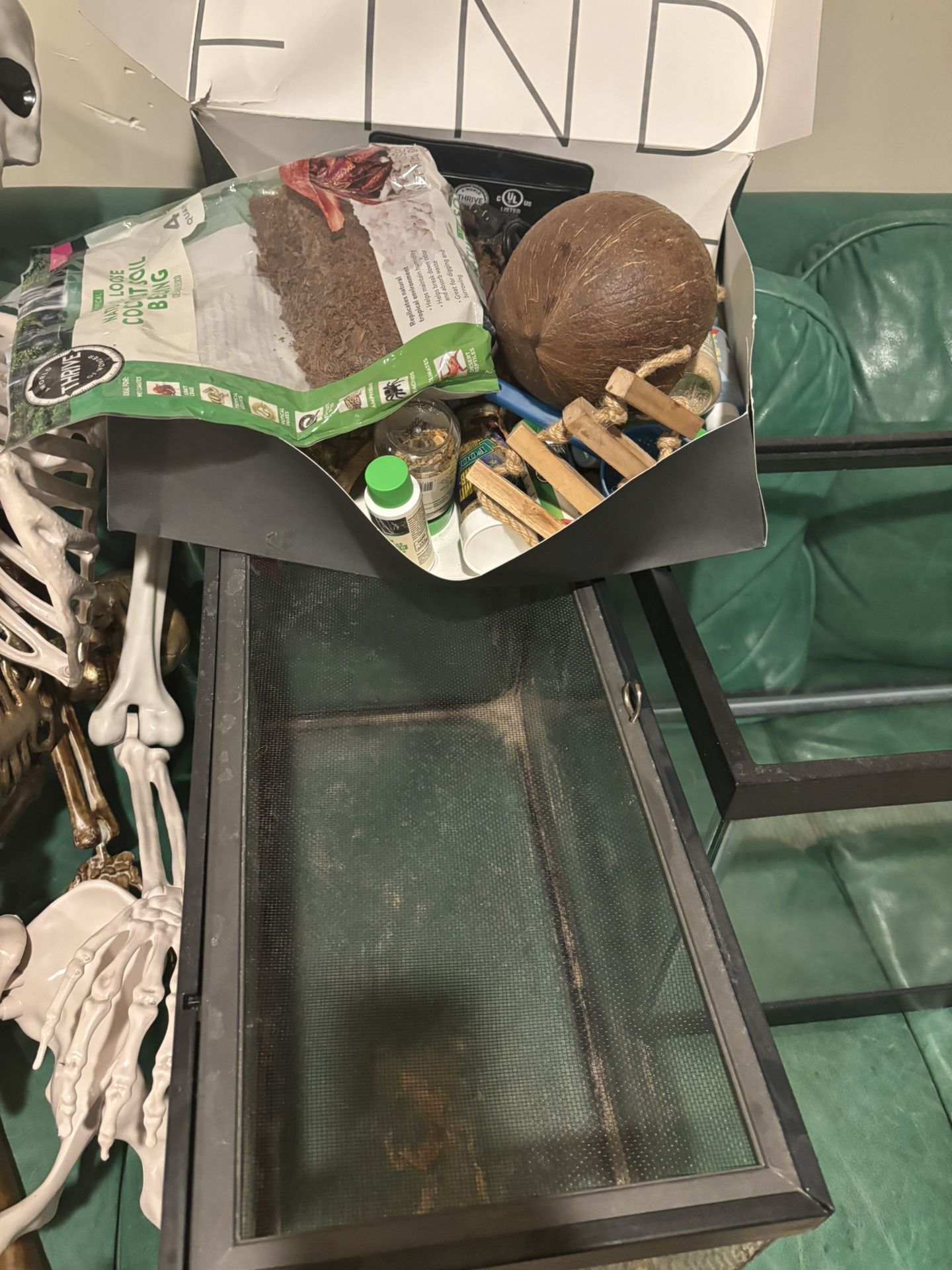 Hermit Crab Set Up