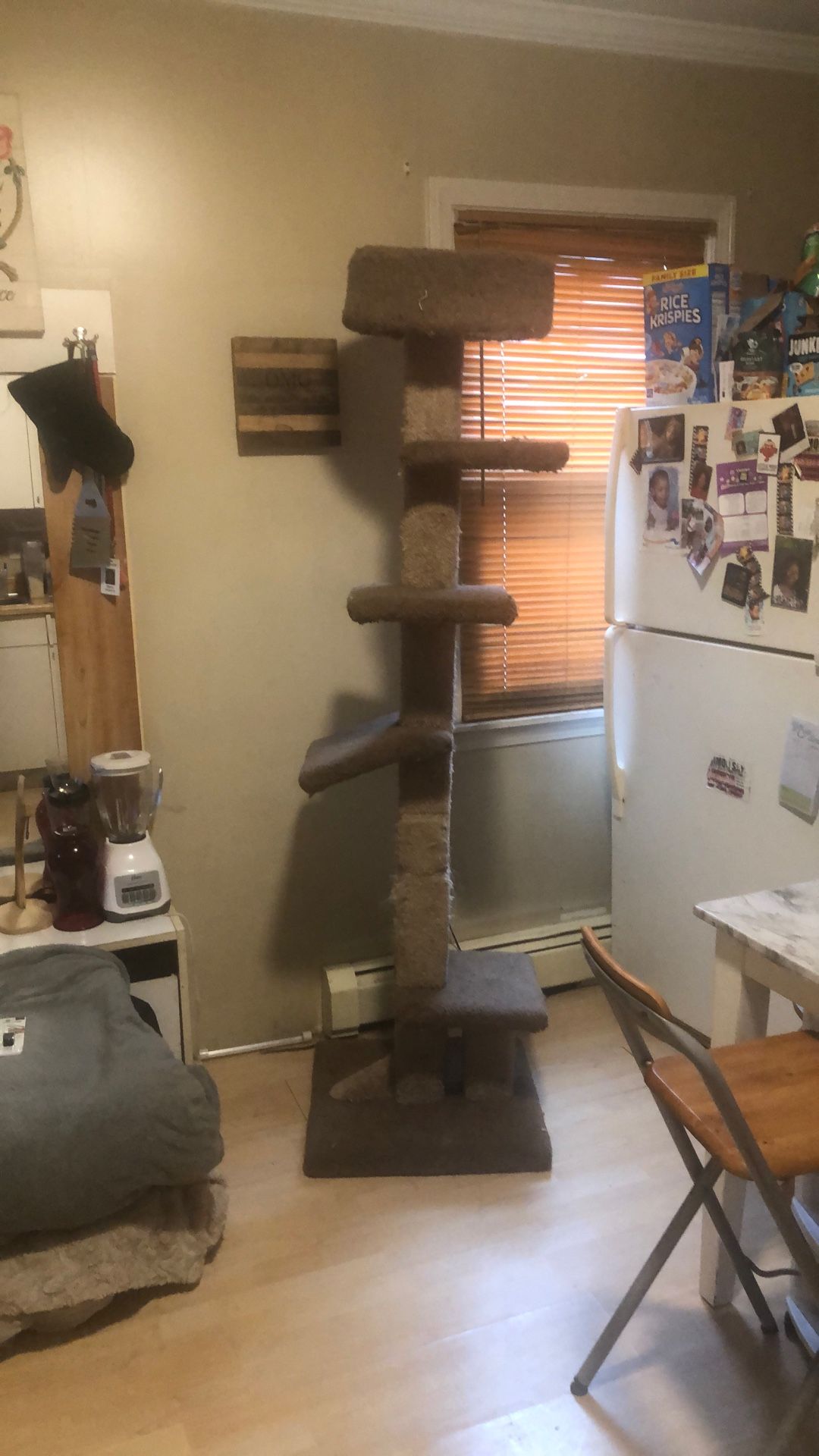 Cat Tower