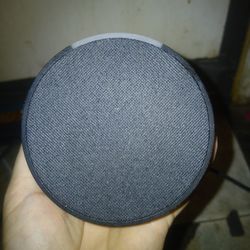 Amazon echo pod
