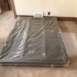 Box Spring Still In Plastic 
