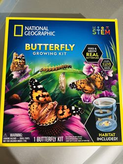 Toys Kids Activities National Geographic Butterfly Growing Kit