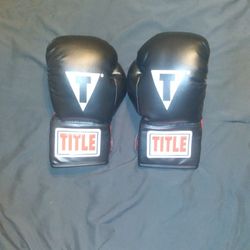 TITLE Youth Boxing Gloves 