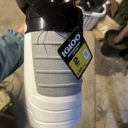 Igloo Bottle 